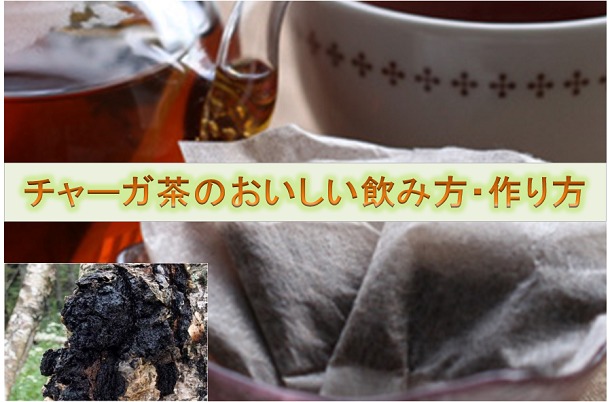 チャーガ カバノアナタケ 茶の味とそのおいしい飲み方 作り方とは Tarmiyan Blog